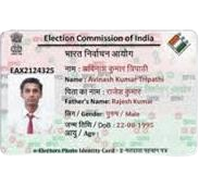 Free Online Voter Card Cropping and Printing Tool