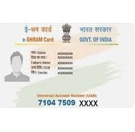 Free E-Shram card crop and print tool interface for easy online editing